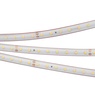 Лента светодиодная RTW 2-5000PS 24V Day5000 (2835, 80 LED/m, LUX) (Arlight, 6 Вт/м, IP67)