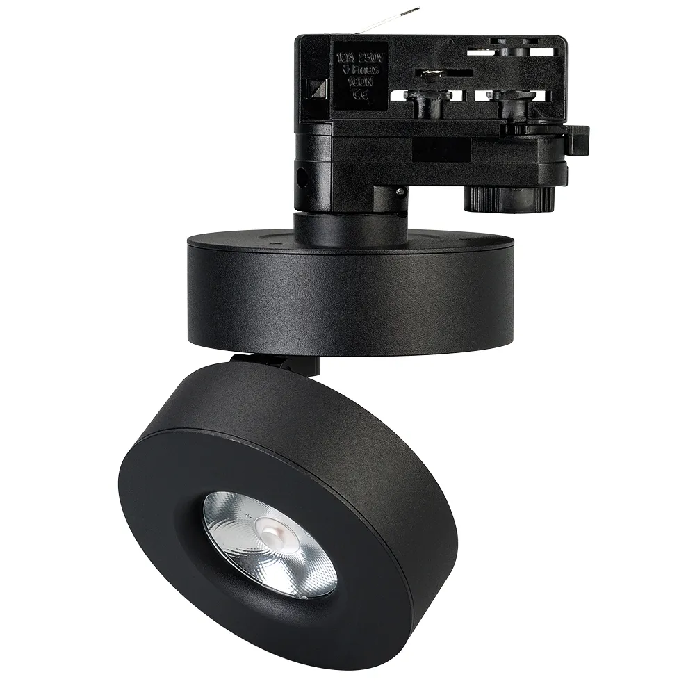 Светильник LGD-MONA-TRACK-4TR-R100-12W Day4000 (BK, 24 deg, 230V) (Arlight, IP40 Металл, 3 года) - изображение товара